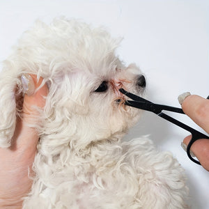 Pet Eye Grooming Brush With Soft Comb Tear Stain Remover