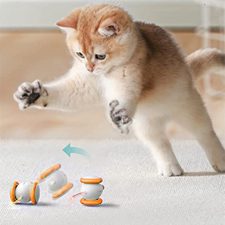 The Purr-fect Playtime Solution for Your Feline Friend!