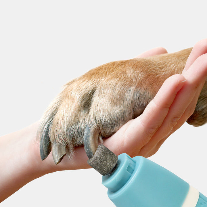 Transform Your Pet Grooming Routine with the Pet Nail Polisher And Hair Trimmer Dual Function Tool