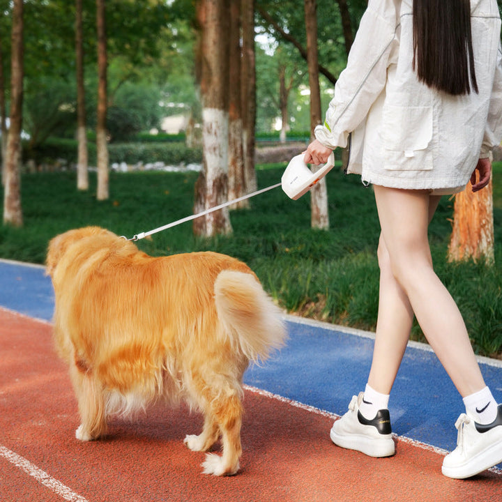 5M Geometric Design Pet Leash for Comfortable Outdoor Walking