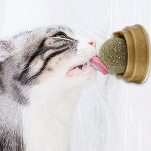 Catnip Balls Cat Treats - The Ultimate Dental Delight for Your Feline Friend