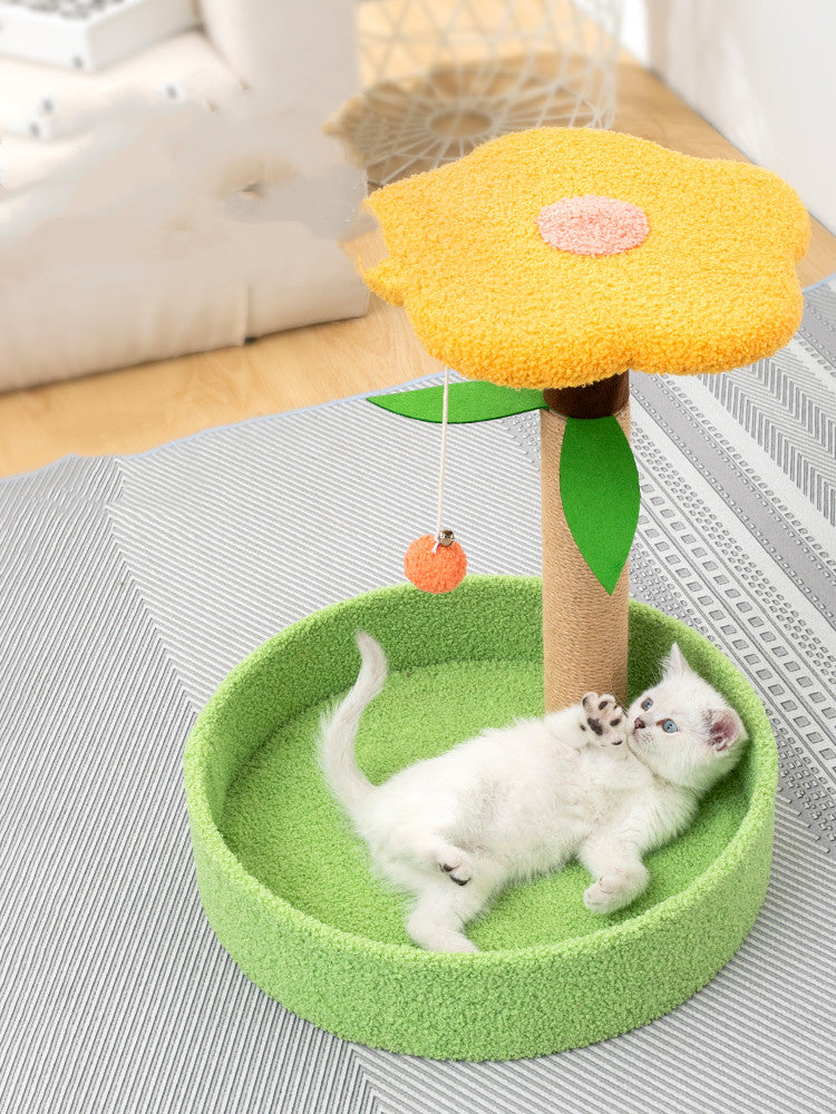 Transform Playtime with Our Pet Claw Grinding and Interactive Teasing Toy Design
