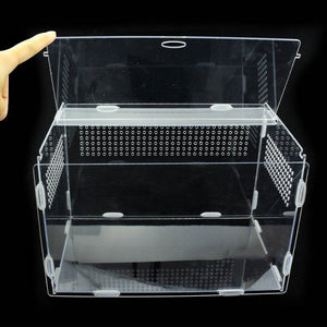 Elevate Your Reptile Care with Our Feeding Thermal Box