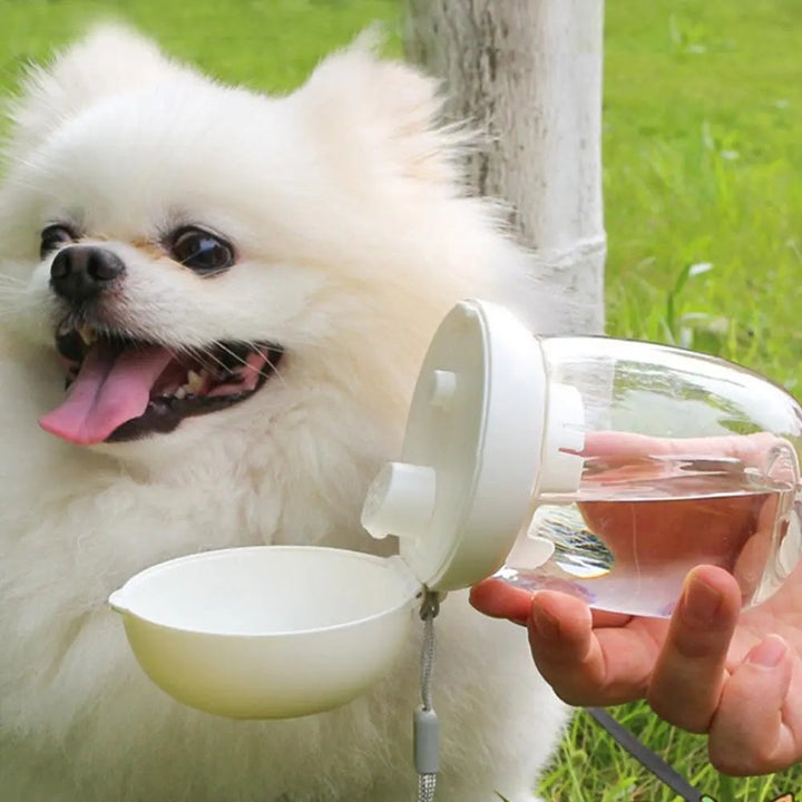 The Ultimate Portable Pet Water Bottle for Adventurous Pets